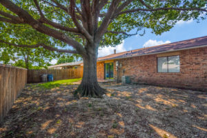 Allen Texas Property Managment - Tree growing next to a house in Allen, Texas.